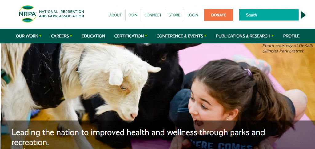 15 Amazing Recreation Website Design Examples 11