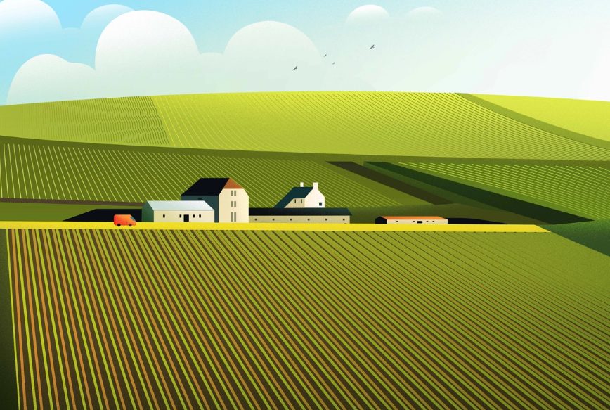 A Great Designers&rsquo; Helping Guide: 20 Best Graphic Design Tips