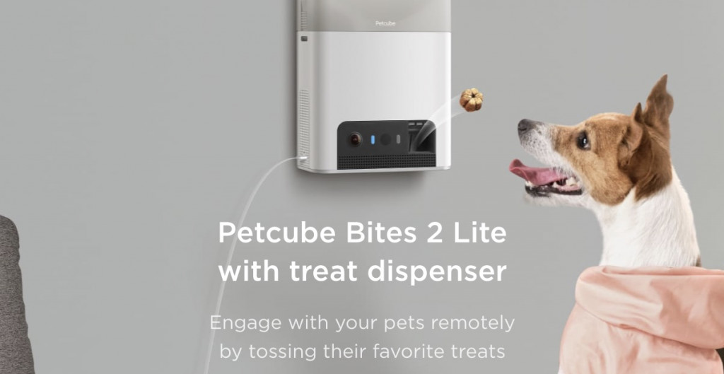 petcube