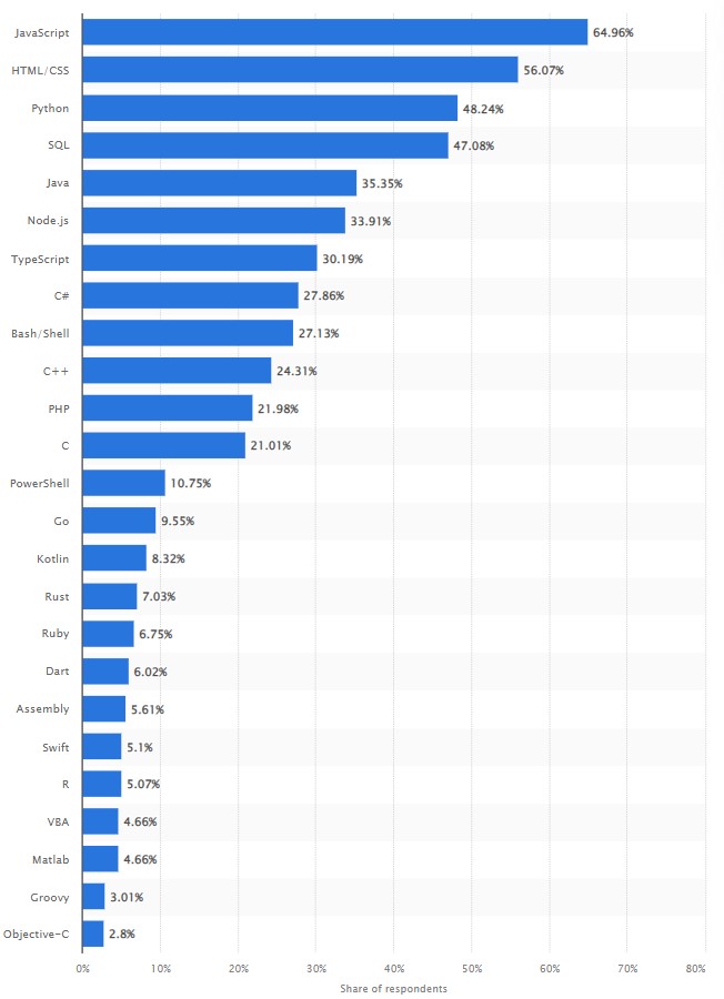Graph showing top programming languages among developers as of 2021