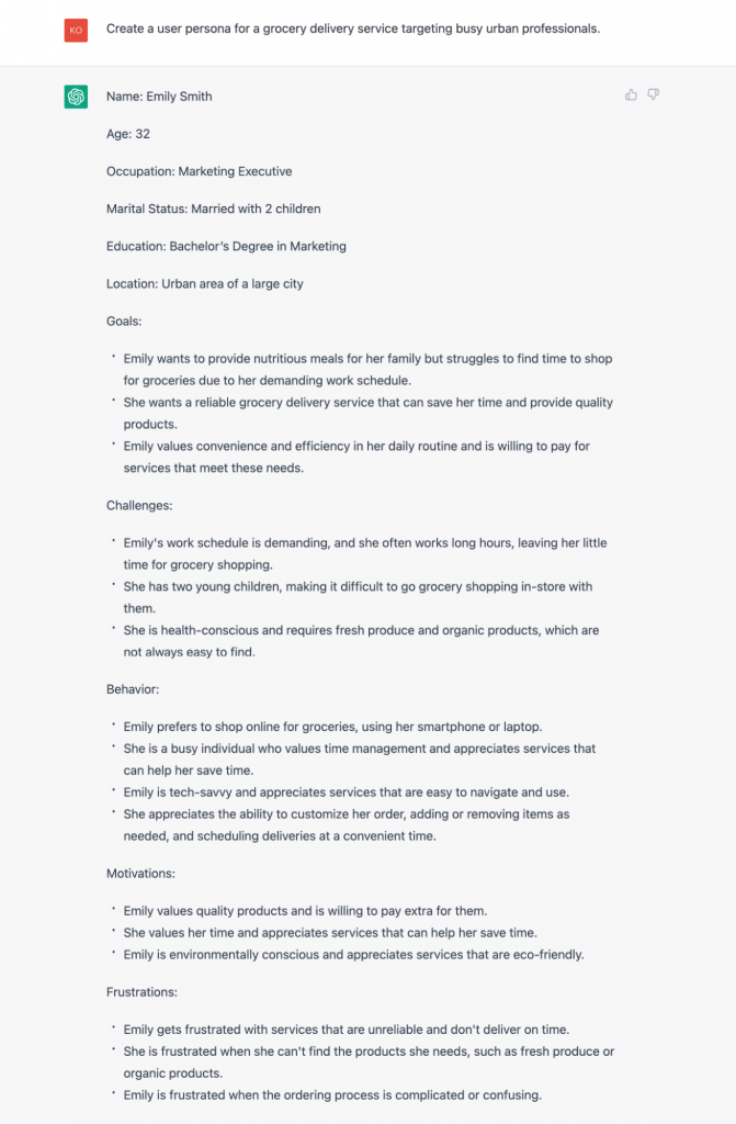 A screenshot of a user persona idea from ChatGPT